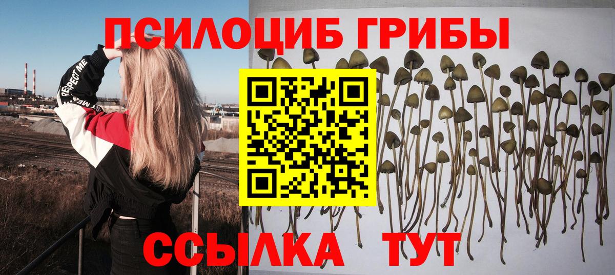 Галлюциногенные грибы мицелий  Вход с VPN  Конаково 